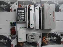 深圳市千里马软件开发 驱动数字化未来的产品中心